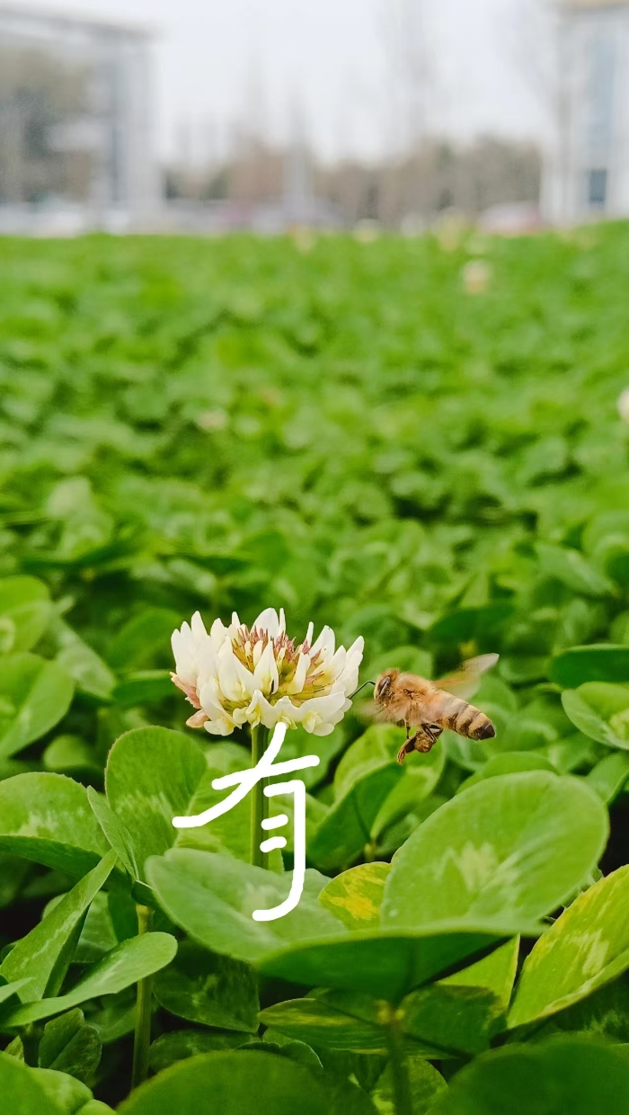 &#76;&#69;&#89;&#85;&#46;&#67;&#79;&#77;&#45;&#20048;&#40060;&#40;&#20013;&#22269;&#41;